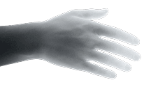 Left hand